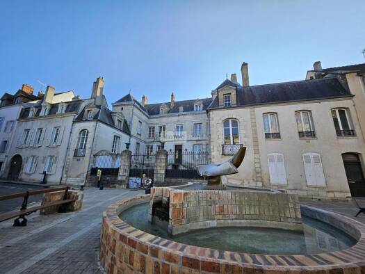 Local commercial à vendre 385 000 € 556 m² de surface de vente Montargis 45200