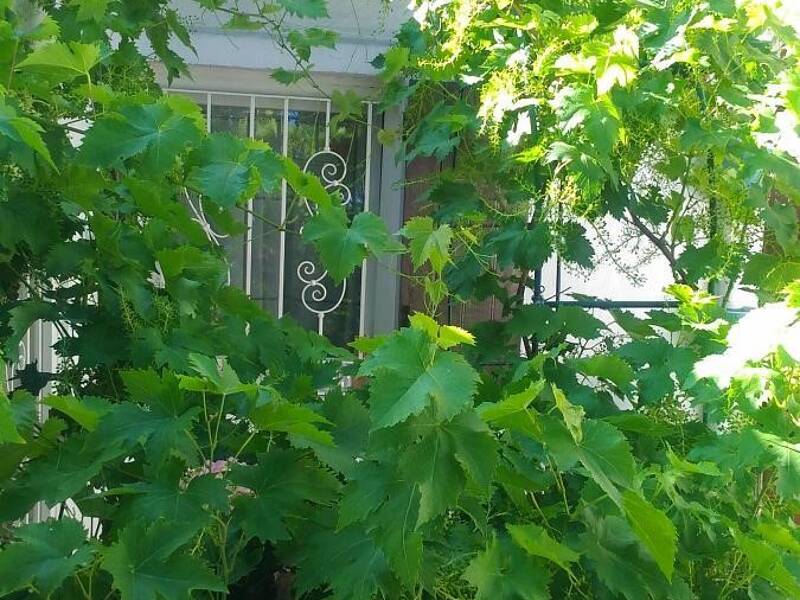 Maison à vendre, 58m², LAXOU