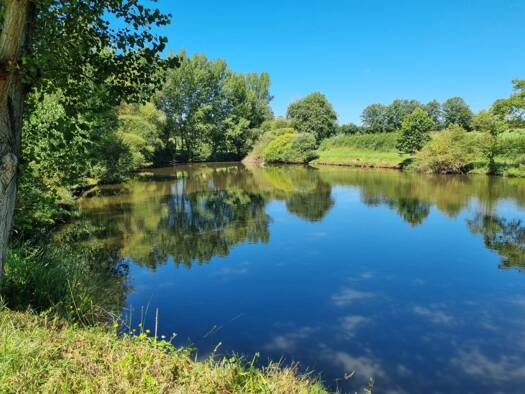 Terrain à vendre 39 900 € 14 264 m² de terrain Chassignolles 36400