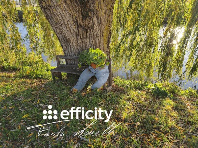 Maison à vendre, 320m², DAMVIX