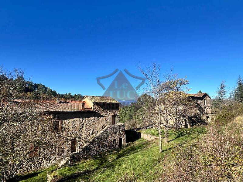 Maison à vendre, 140m², SAINT FLORENT SUR AUZONNET