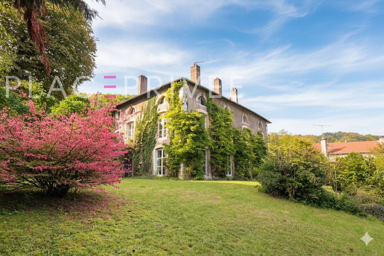 Maison à vendre, 485m², VANDOEUVRE LES NANCY