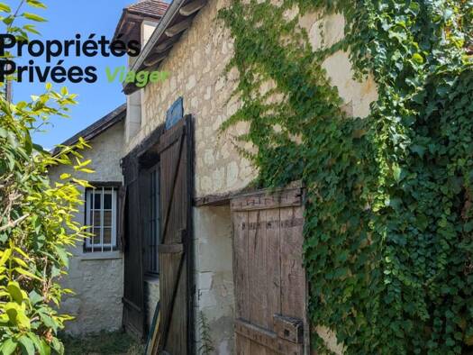 Maison en viager occupé Bouquet 34 450 € 4 pièces 1 chambre 130 m² 535 m² de terrain La Roche-Posay 86270