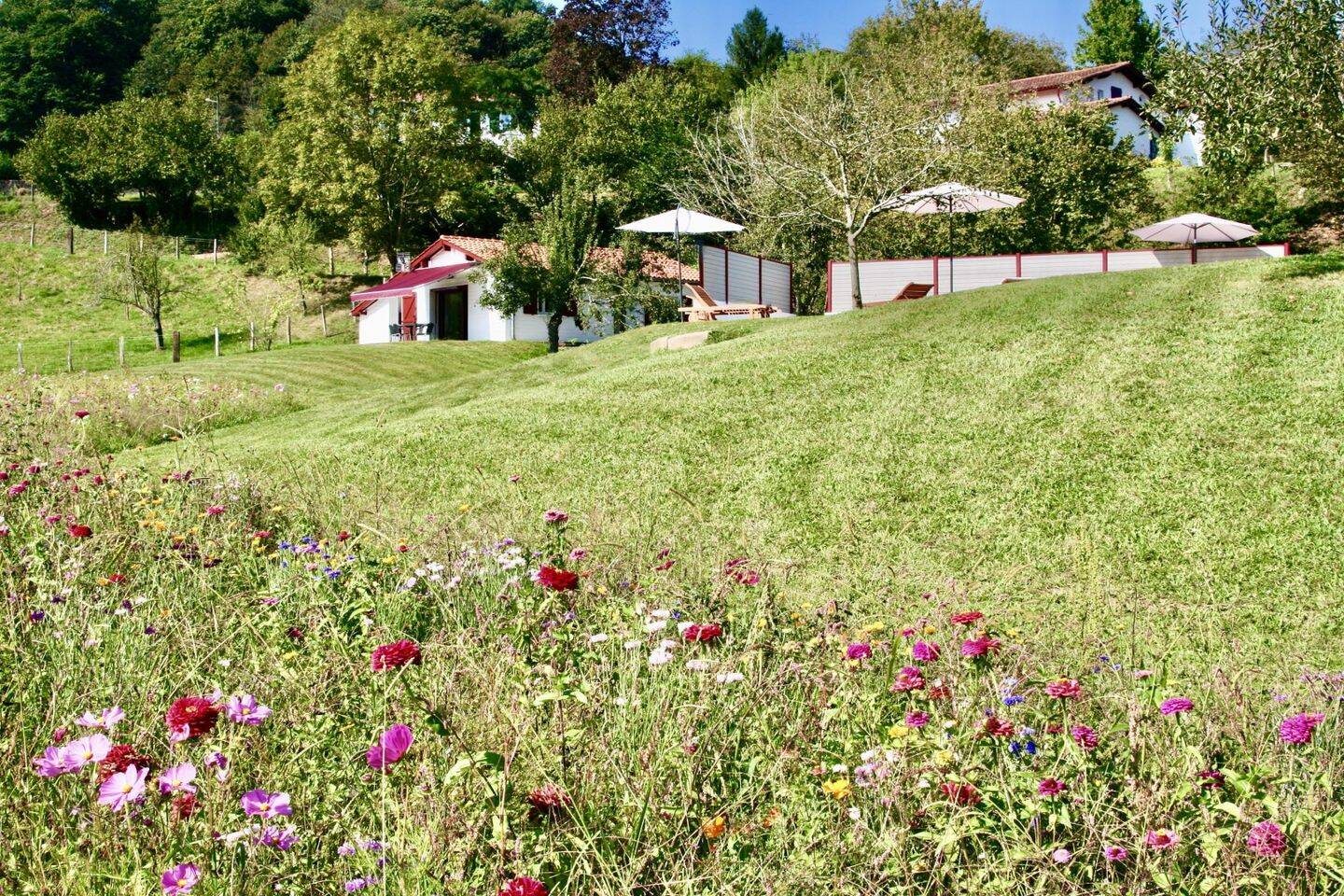 Maison à vendre, 377m², SAINT JEAN PIED DE PORT