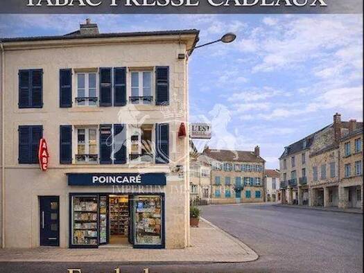 Local commercial à vendre 260 000 € 100 m² de surface de vente Stenay 55700