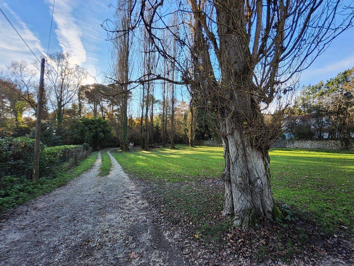 Maison à vendre, 320m², LE TOURNE