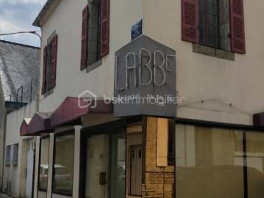 Immeuble à vendre 208 000 € 245 m² Isles Lesneven 29260