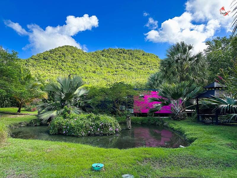 Maison à vendre, 968m², LE DIAMANT