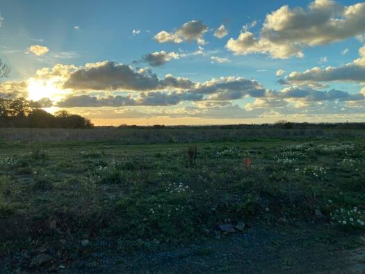 Terrain constructible viabilisé à vendre 195 000 € 483 m² de terrain Pleurtuit 35730