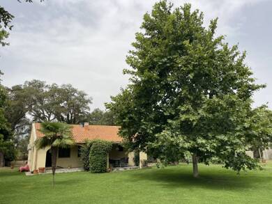 Villa à louer 2 500 € 4 pièces 3 chambres 105 m² 4 000 m² de terrain Est Borgo 20290