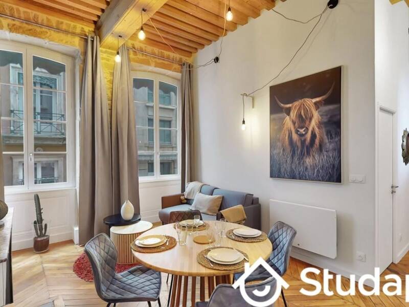Maison à louer, 45m², LYON 1ER