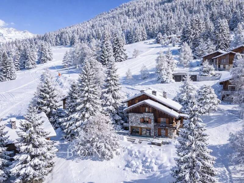 Maison à vendre, 328m², LA PLAGNE