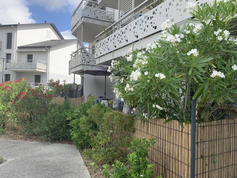 Maison à louer, 45m², THOUARE SUR LOIRE