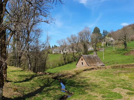 Maison à vendre 65 000 € 2 pièces 1 chambre 100 m² 7 121 m² de terrain Meallet 15200