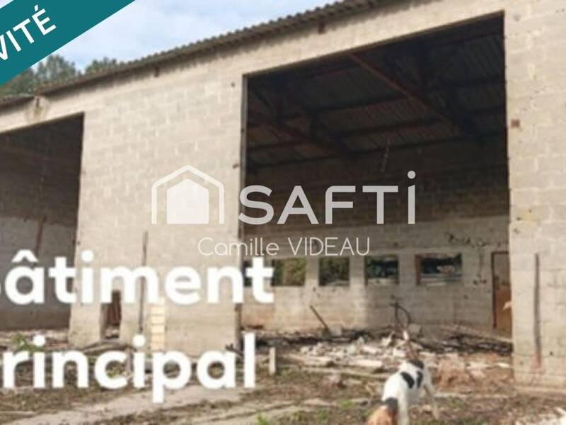 Maison à vendre, 425m², LARUSCADE