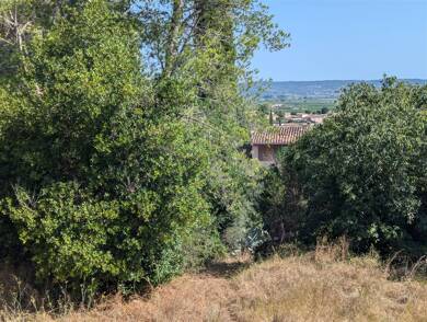 Terrain constructible à vendre 179 000 € 700 m² de terrain Calvisson 30420