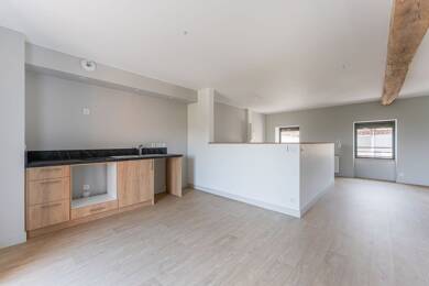 Appartement à louer 700 € 3 pièces 2 chambres 87 m² 1er étage Bussieres 42510