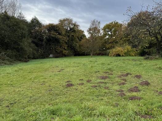 Terrain constructible à vendre 13 800 € 1 169 m² de terrain Plumieux 22210