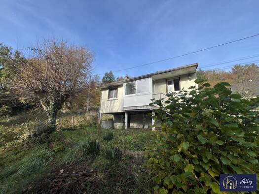 Maison de plain-pied à vendre 60 000 € 3 pièces 1 chambre 43 m² 287 m² de terrain Ydes 15210