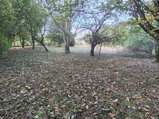 Terrain constructible à vendre 35 000 € 1 570 m² de terrain Peyrilhac 87510