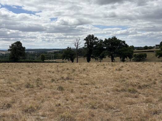 Terrain constructible à vendre 33 000 € 1 416 m² de terrain Saint-Vincent-Bragny 71430