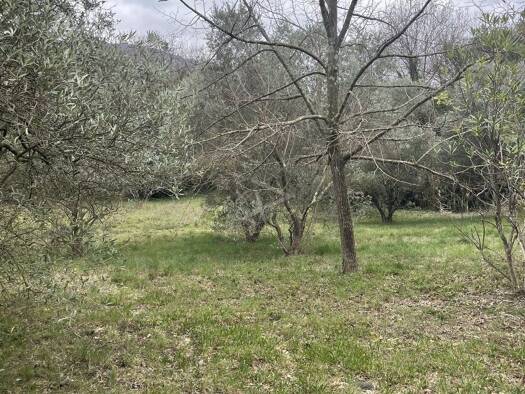 Terrain constructible à vendre 122 000 € 880 m² de terrain Centre Ville Clermont-l'Hérault 34800