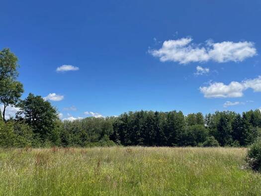 Terrain constructible à vendre 77 100 € 746 m² de terrain Pont-l'Évêque 14130