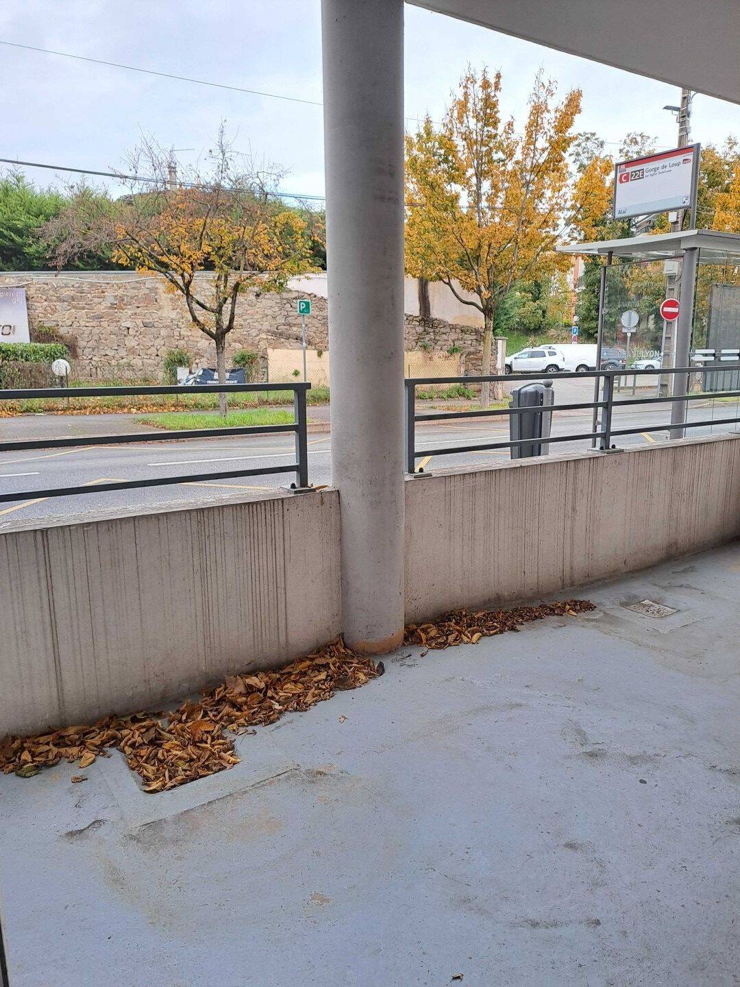Maison à louer, 71m², TASSIN LA DEMI LUNE