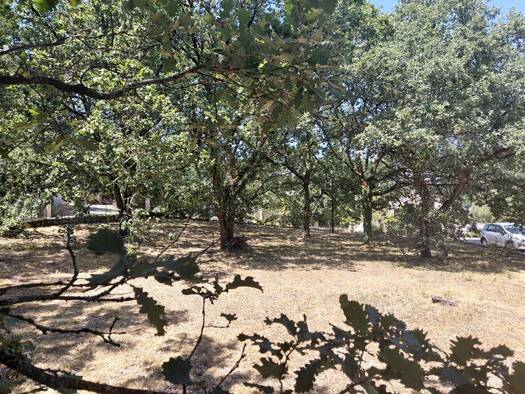 Terrain à vendre 99 000 € 901 m² de terrain Bouloc 31620