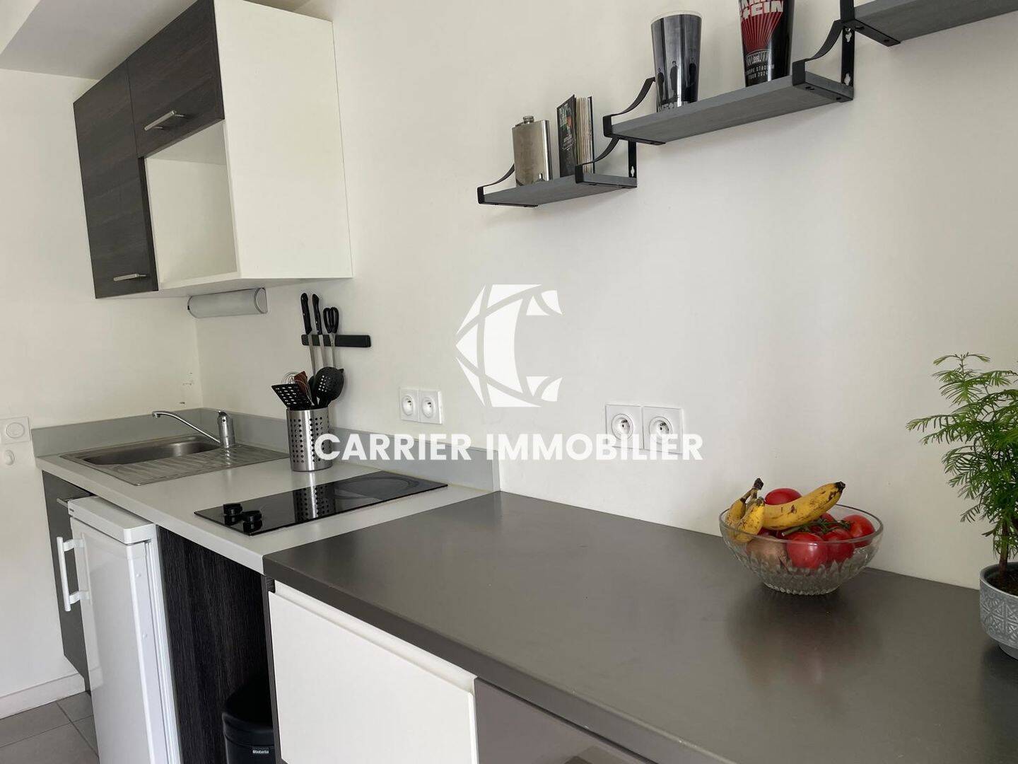 Maison à vendre, 47m², TASSIN LA DEMI LUNE
