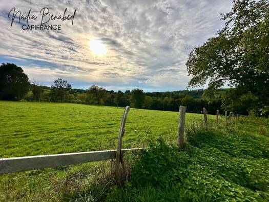 Terrain constructible à vendre 85 000 € 4 630 m² de terrain Maizilly 42750