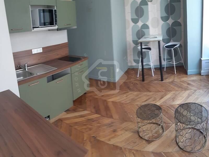 Maison à louer, 27m², LYON 1ER