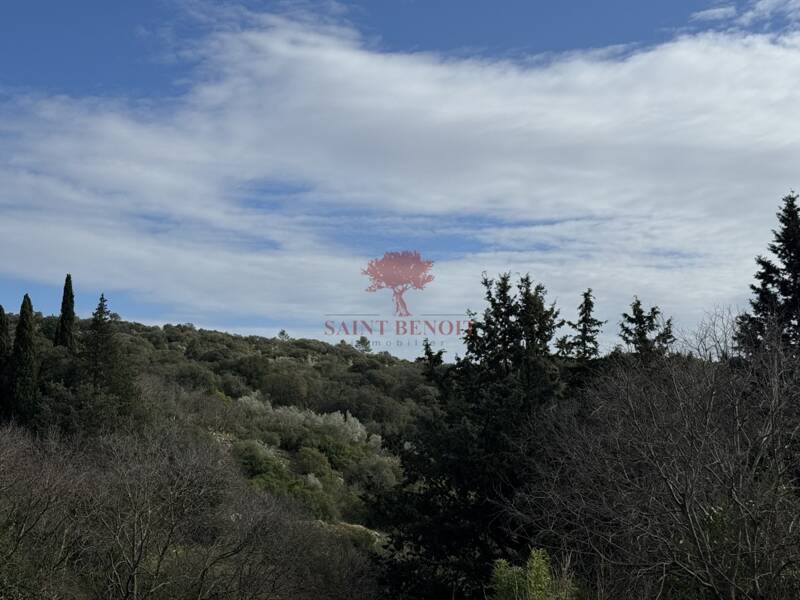 Maison à vendre, 92m², PUECHABON
