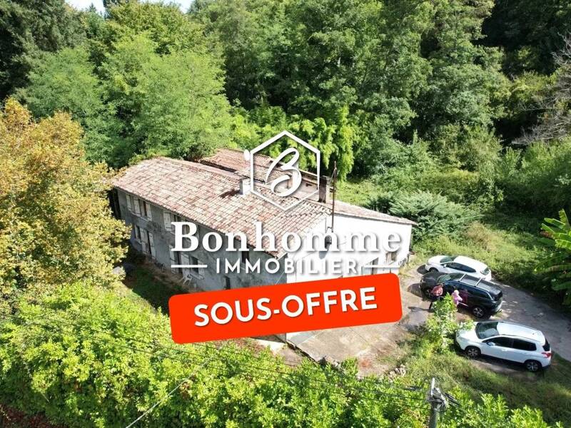 Maison à vendre, 175m², LANGOIRAN