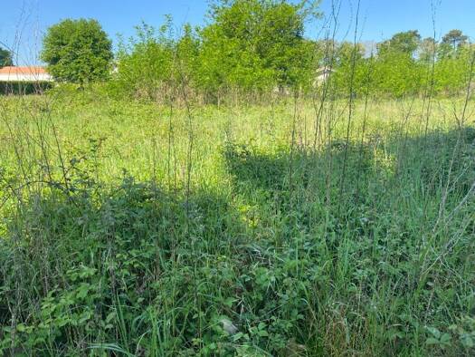 Terrain constructible à vendre 560 000 € 1 059 m² de terrain Aiguillon-Port La Teste-de-Buch 33260