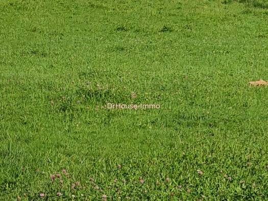 Terrain constructible à vendre 59 000 € 1 089 m² de terrain Angeot 90150