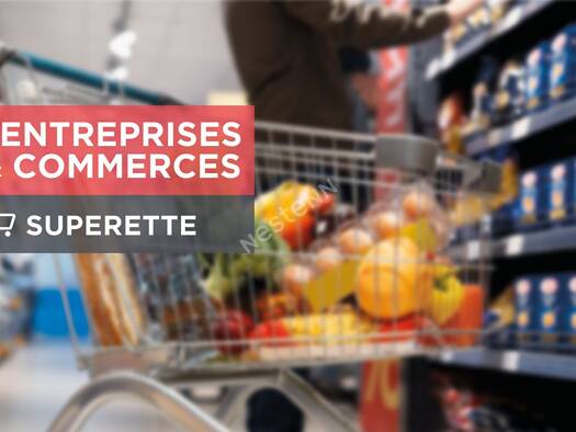 Épicerie / Alimentation Générale à vendre Fonds de commerce 132 000 € 320 m² de surface de vente Francueil 37150