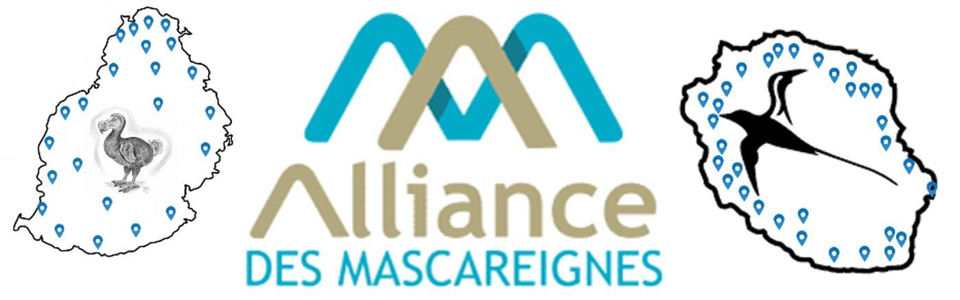 Alliance Des Mascareignes