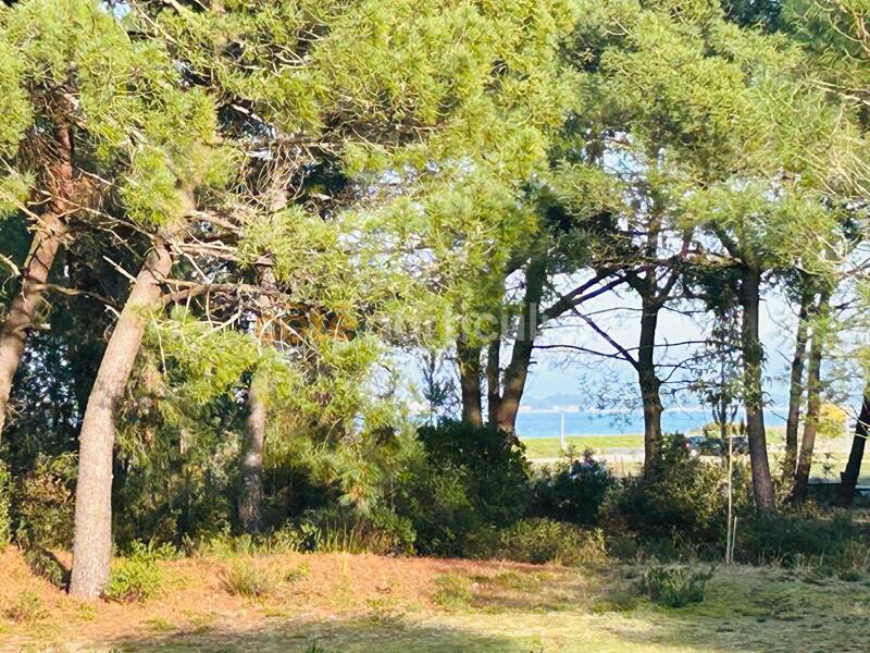 Maison à vendre, 198m², LE VERDON SUR MER