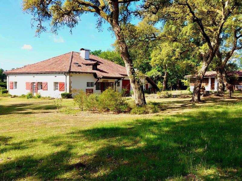 Maison à vendre, 300m², SAINT GEOURS DE MAREMNE