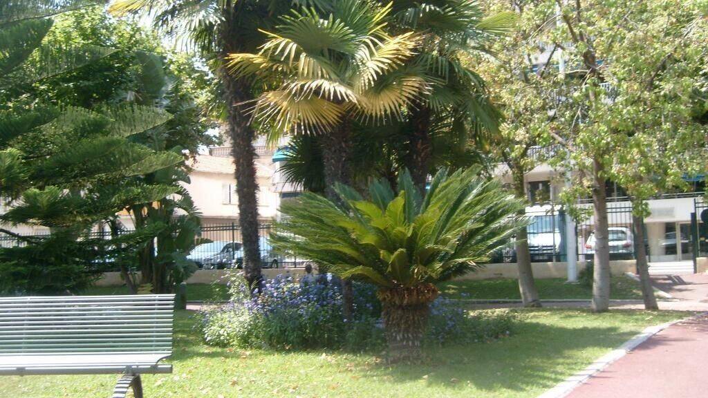 Maison à louer, 28m², CANNES