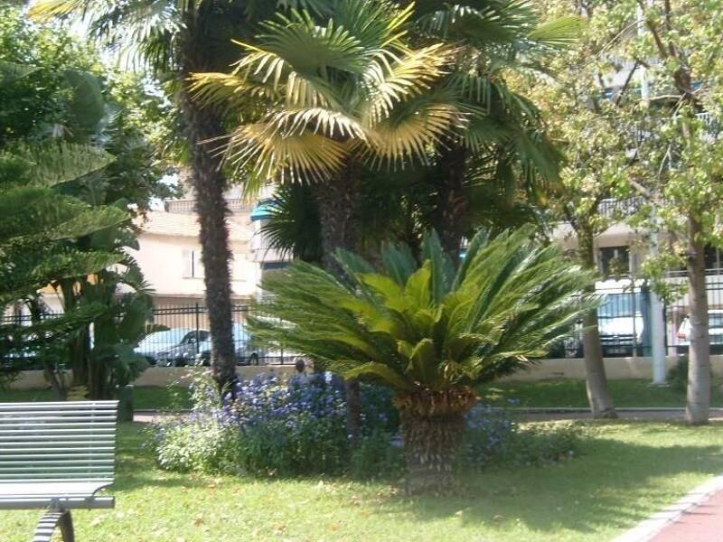 Maison à louer, 28m², CANNES