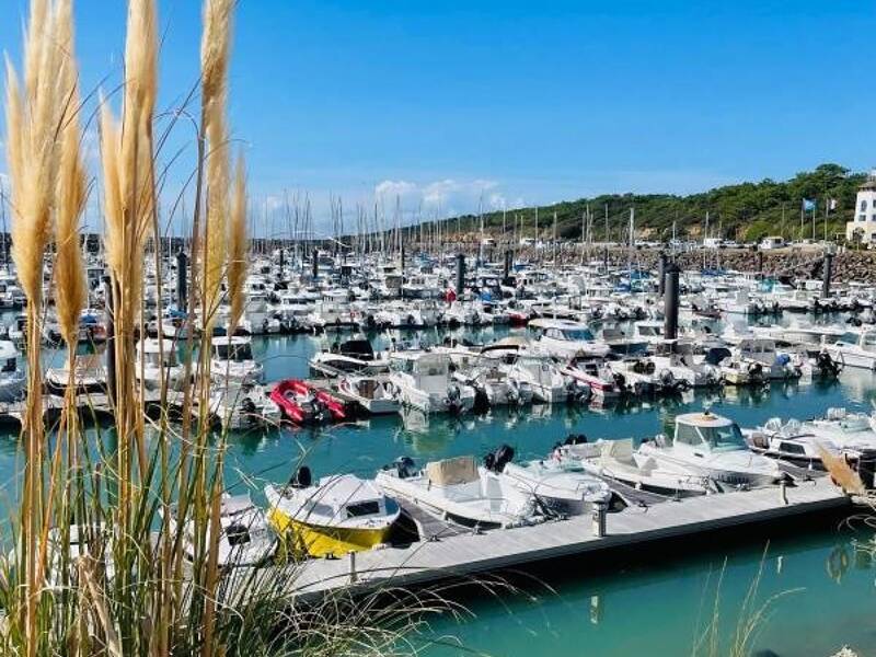 Maison à vendre, 214m², TALMONT SAINT HILAIRE
