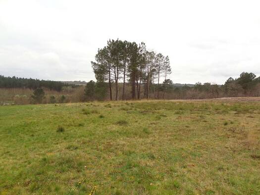 Terrain constructible à vendre 28 300 € 1 657 m² de terrain Beaupouyet 24400