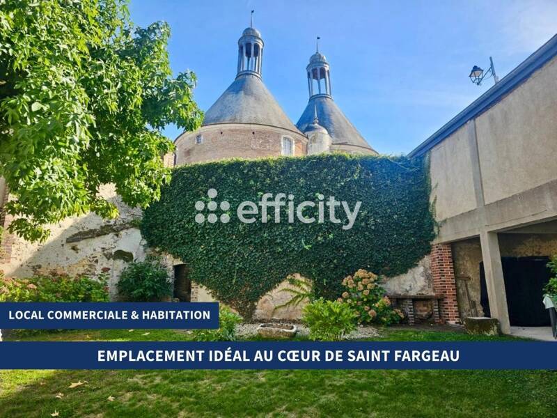 Maison à vendre, 304m², SAINT FARGEAU
