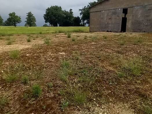 Ferme à vendre 168 000 € 1 pièce 5 chambres 450 m² 11 400 m² de terrain Saint-Jean-sur-Veyle 01290