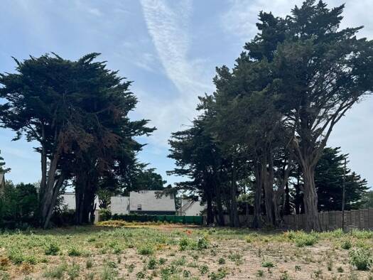Terrain constructible à vendre 345 000 € 717 m² de terrain La Turballe 44420