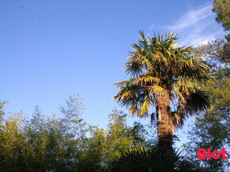 Maison à vendre, 133m², NANTES