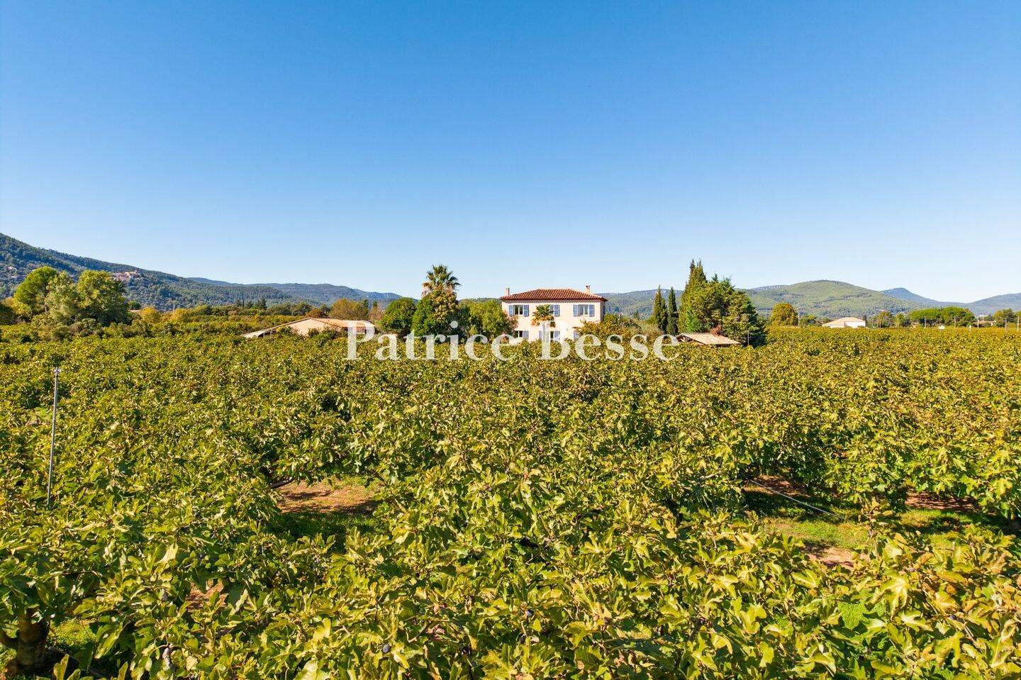 Maison à vendre, 232m², SOLLIES VILLE