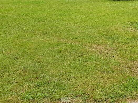 Terrain constructible à vendre 53 000 € 2 037 m² de terrain Dontrien 51490